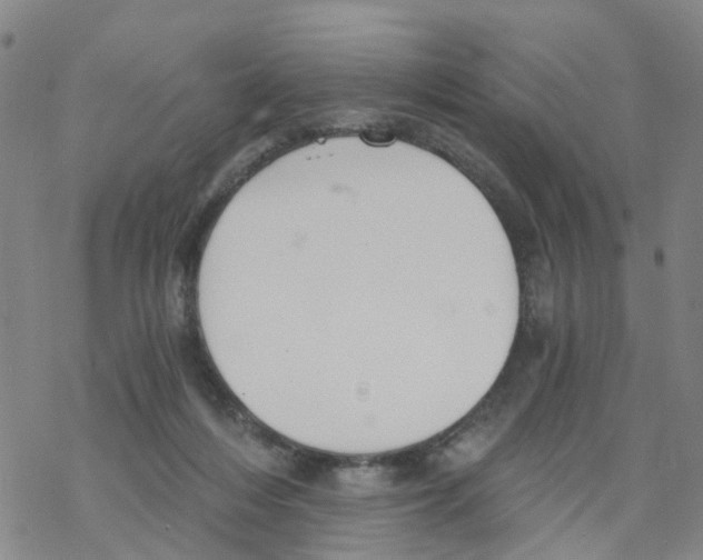 X0000068730216200605262034