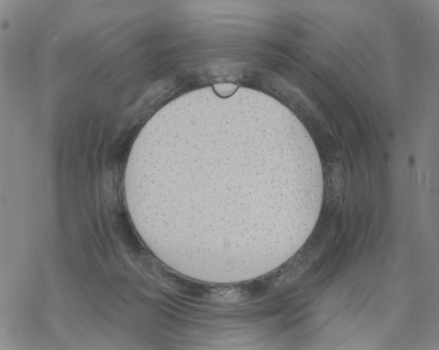 X0000068730218200605262034