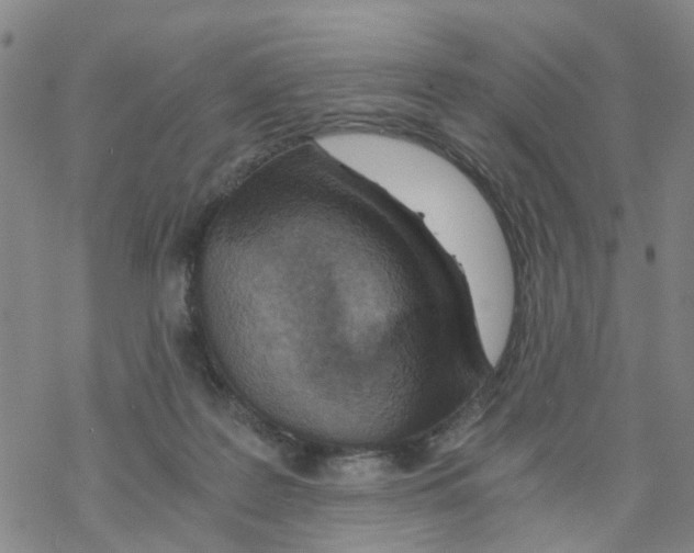 X0000068730219200605262034