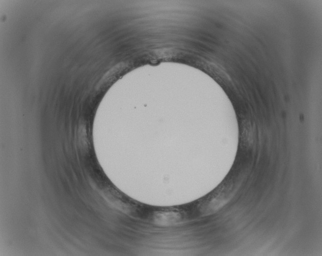 X0000068730220200605262034