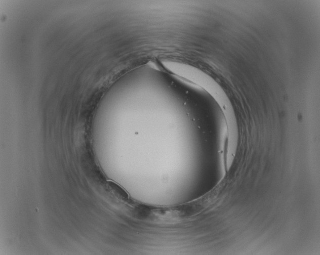 X0000068730221200605262034