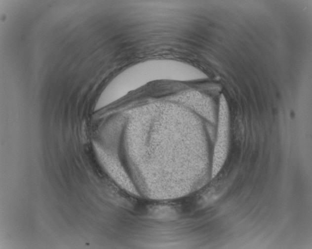 X0000068730224200605262034