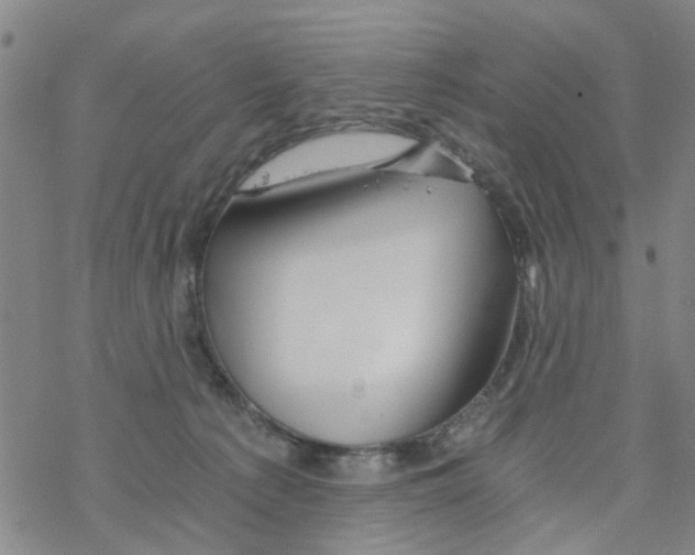 X0000068730225200605262034