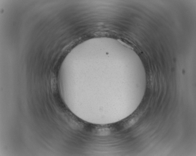 X0000068730228200605262034