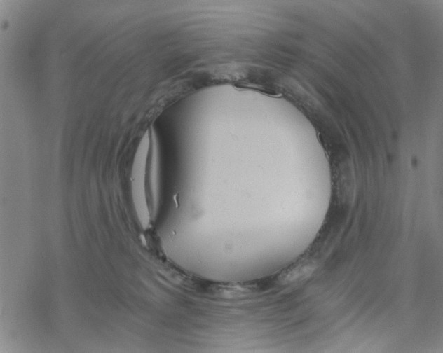 X0000068730229200605262034