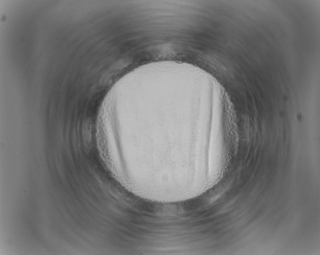 X0000068730230200605262034