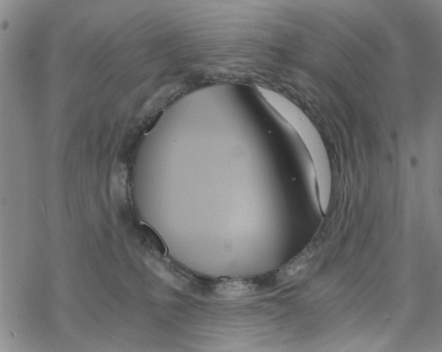 X0000068730231200605262034