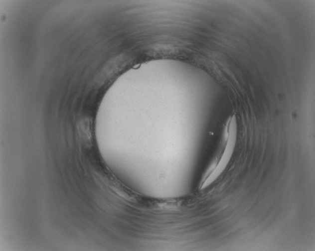 X0000068730232200605262034