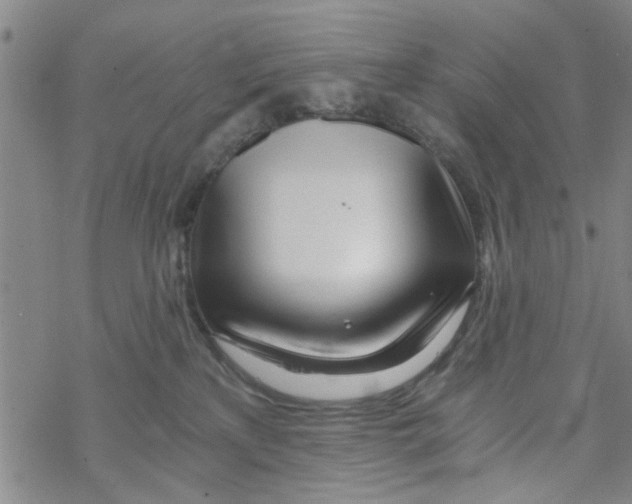 X0000068730233200605262033