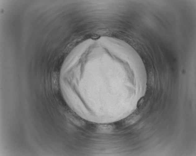 X0000068730234200605262033