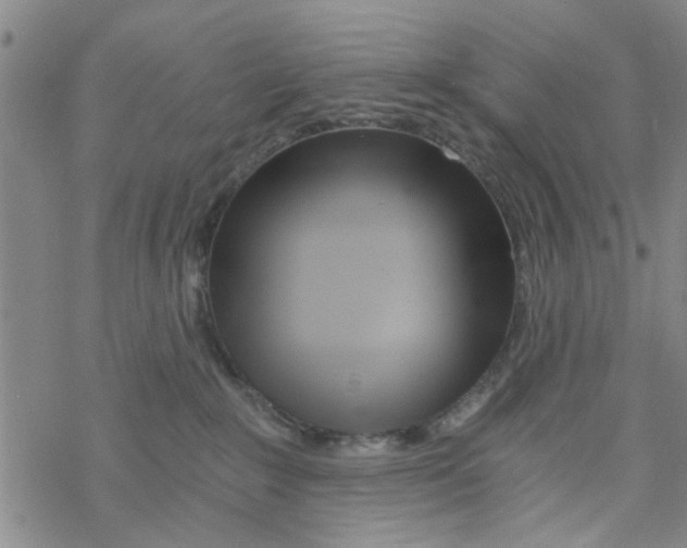 X0000068730235200605262033