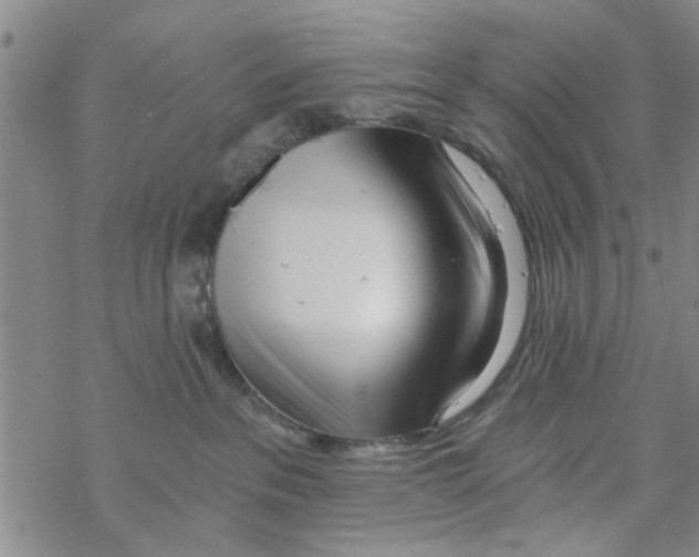 X0000068730237200605262033