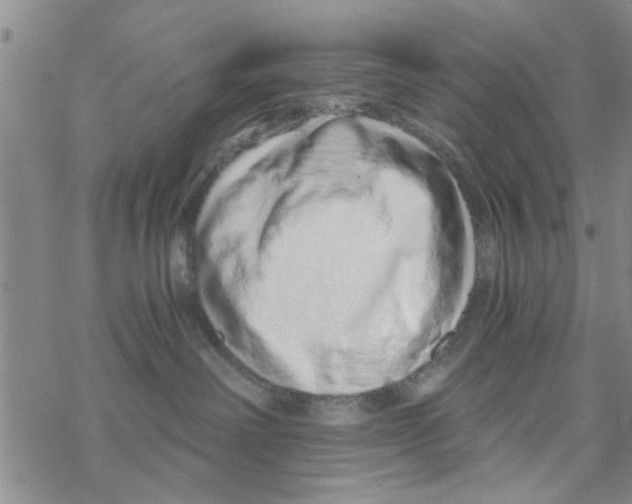 X0000068730238200605262033