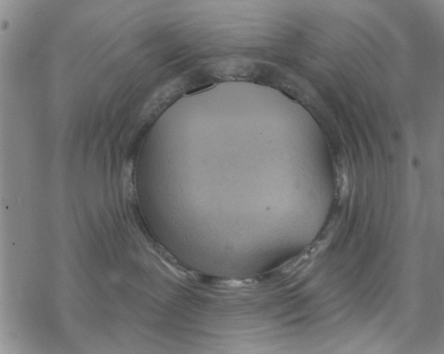 X0000068730239200605262033