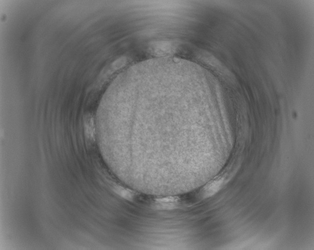 X0000068730240200605262033