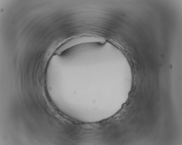 X0000068730241200605262033