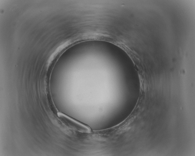 X0000068730244200605262033