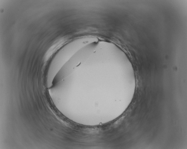 X0000068730245200605262033