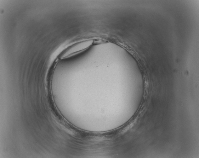 X0000068730246200605262033