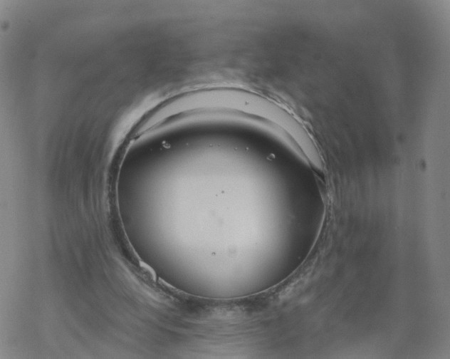 X0000068730248200605262033