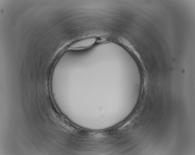 X0000068730249200605262033