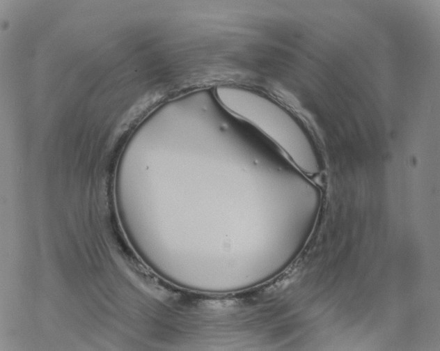 X0000068730250200605262033