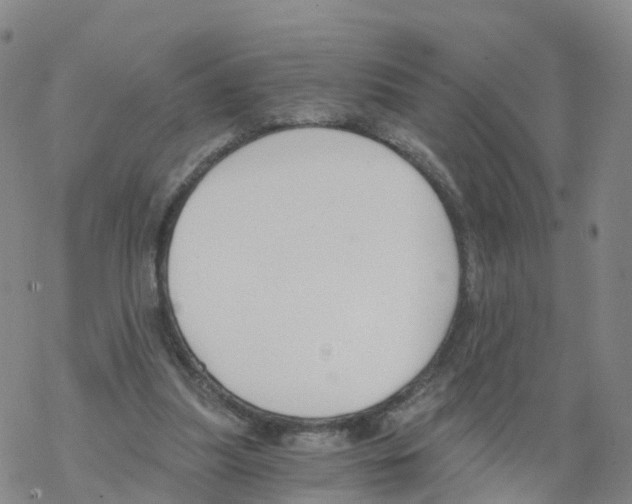 X0000068730251200605262033