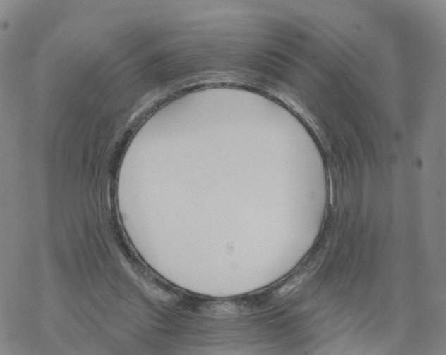 X0000068730253200605262033