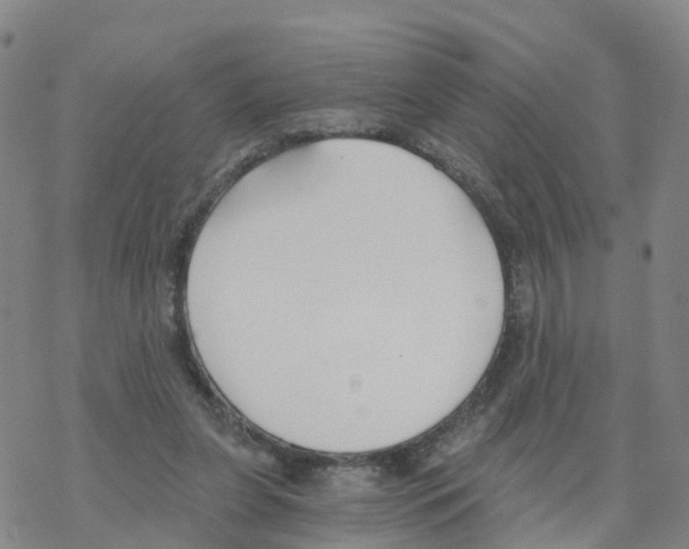 X0000068730255200605262033