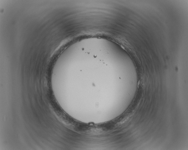 X0000068730256200605262033