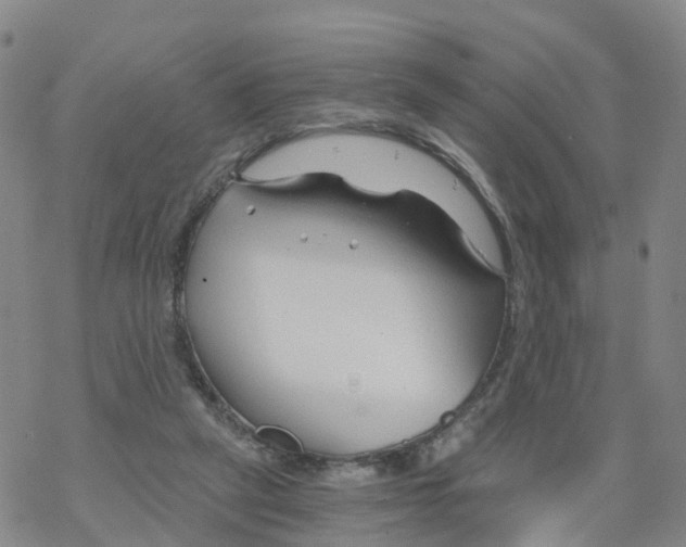 X0000068730257200605262033