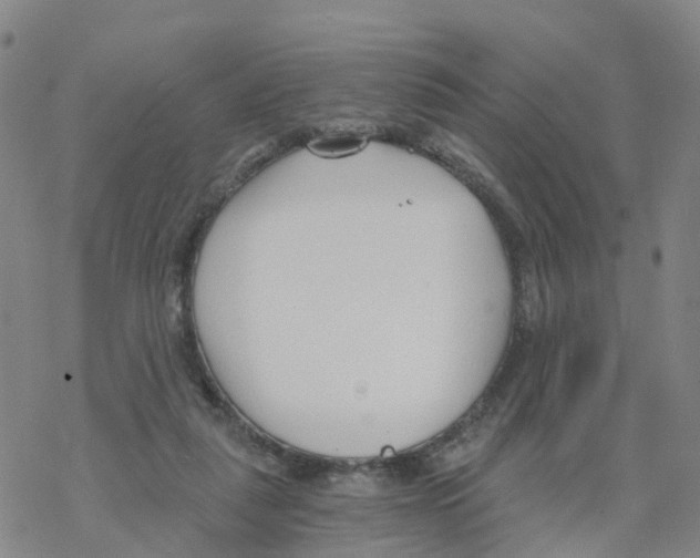 X0000068730259200605262033