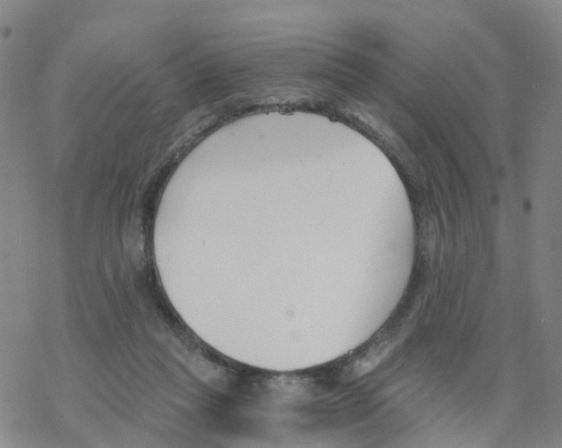 X0000068730261200605262033