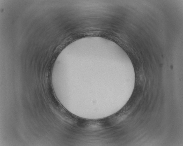 X0000068730263200605262033