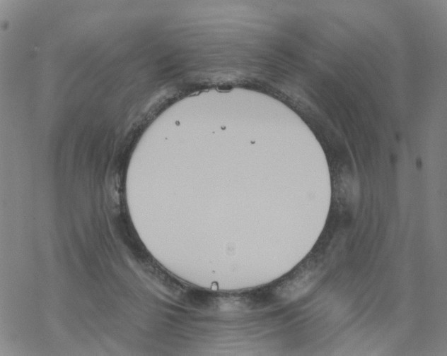 X0000068730264200605262033