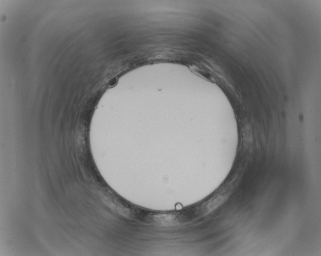 X0000068730265200605262033