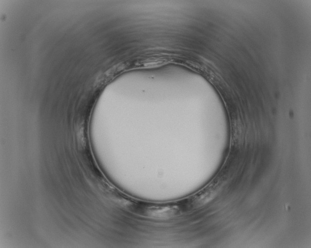 X0000068730267200605262033