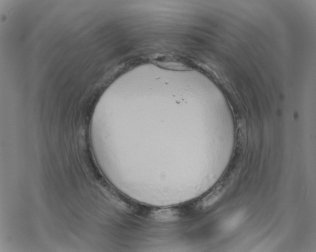 X0000068730269200605262033