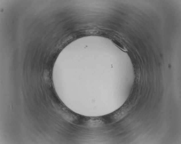 X0000068730270200605262033