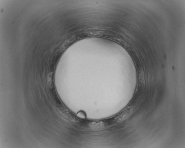 X0000068730271200605262033