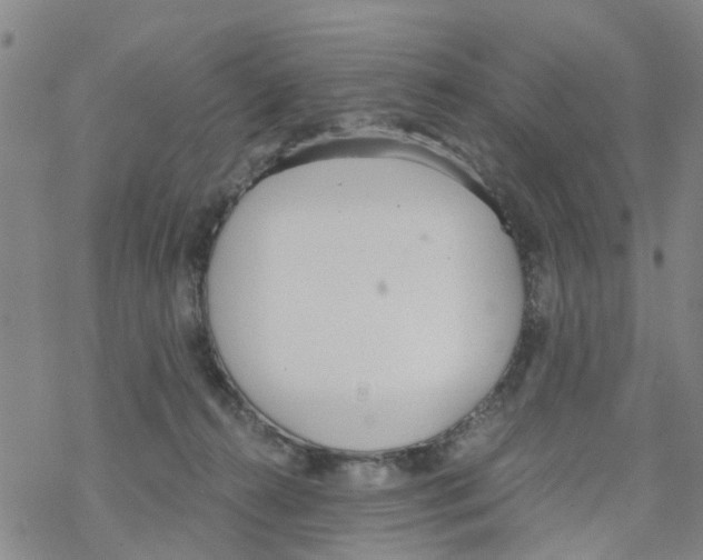 X0000068730272200605262033