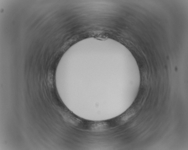 X0000068730274200605262033