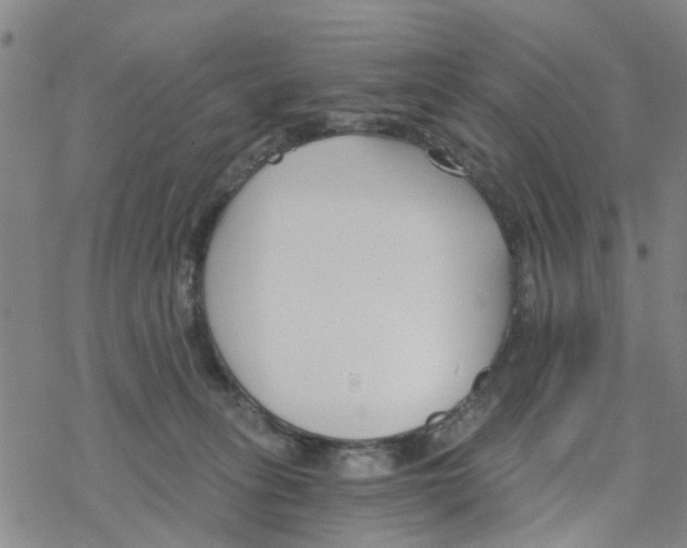 X0000068730275200605262033