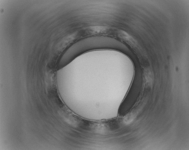 X0000068730276200605262033