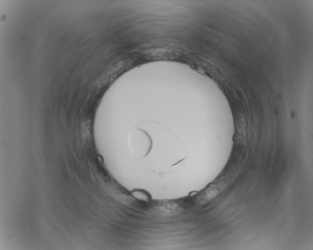 X0000068730278200605262033