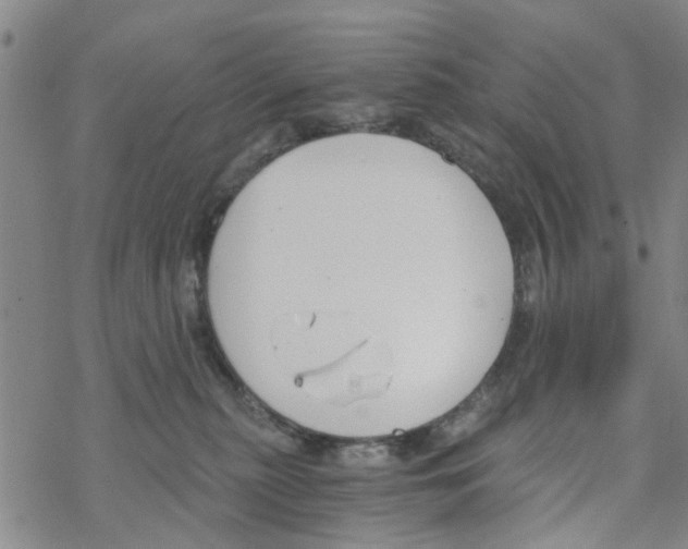 X0000068730279200605262033