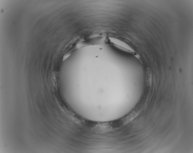 X0000068730280200605262033