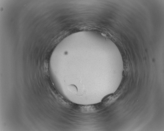 X0000068730281200605262033