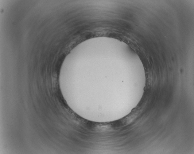 X0000068730283200605262033