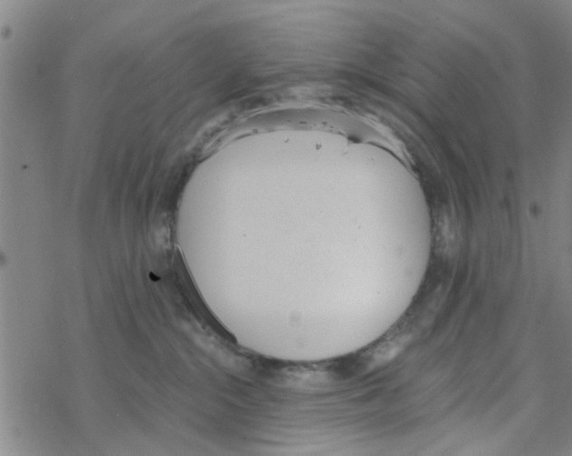 X0000068730284200605262033